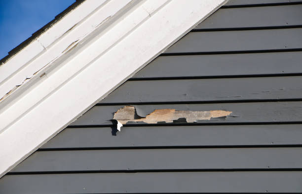 Best Same-Day Junk Removal Services  in Islandia, NY